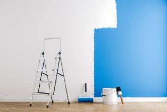 İkiçeşmelik Boyacı Ustası Ev Yazlık Villa Dükkan Mağaza Boyama Tadilat