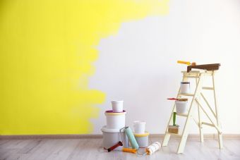 Söke Boyacı Ustası Ev Yazlık Villa Dükkan Mağaza Boyama Tadilat